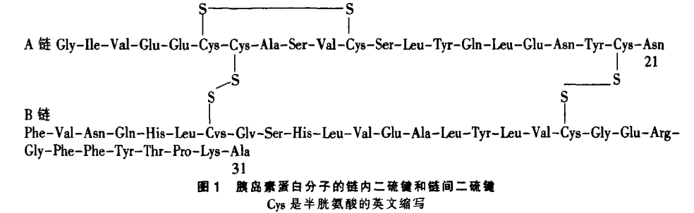 高中生物新教材有關二硫鍵你想了解的都在這裡