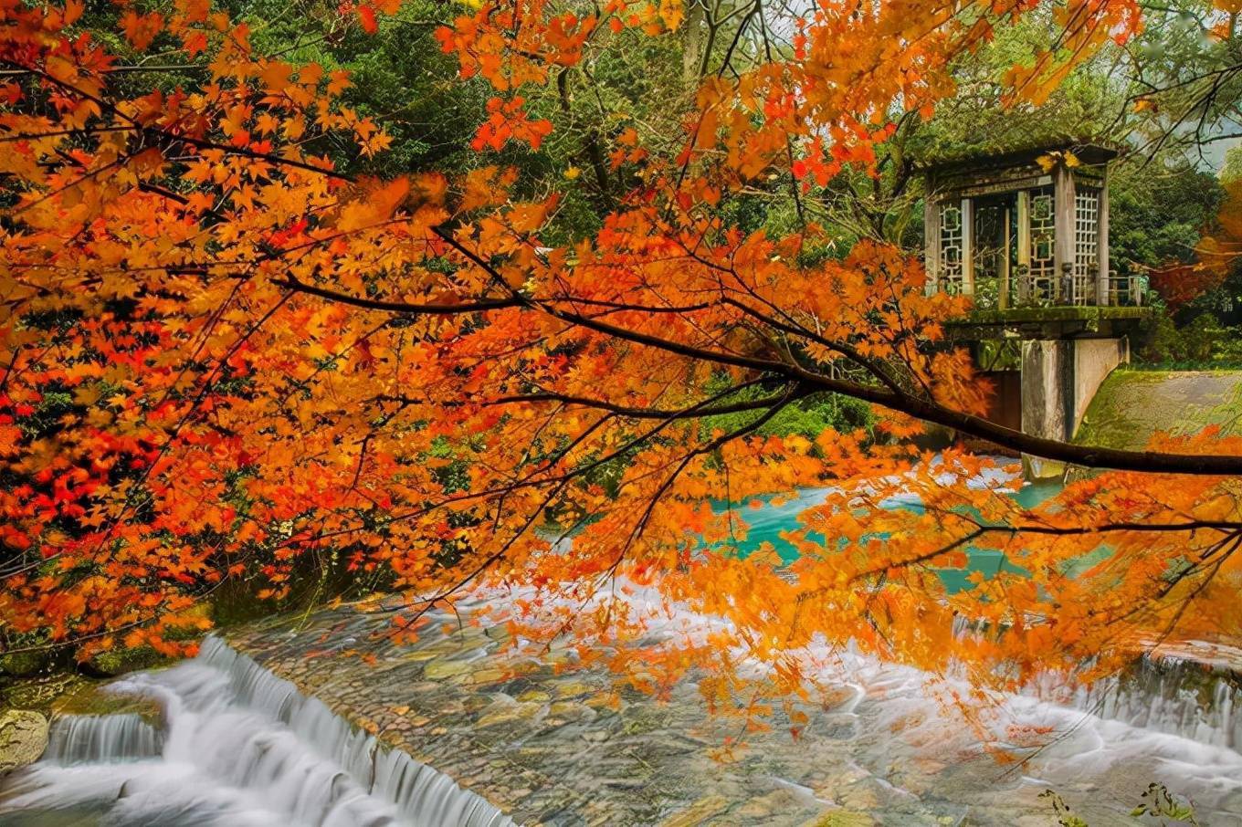 名城杭州|一入秋,就成了临安,最是诗意