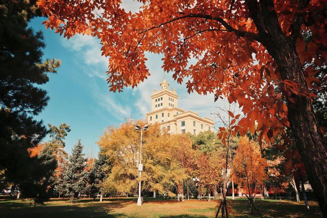 下面让我们跟随小编此时黑大校园的景色你是否留意过在这个秋意浓浓的