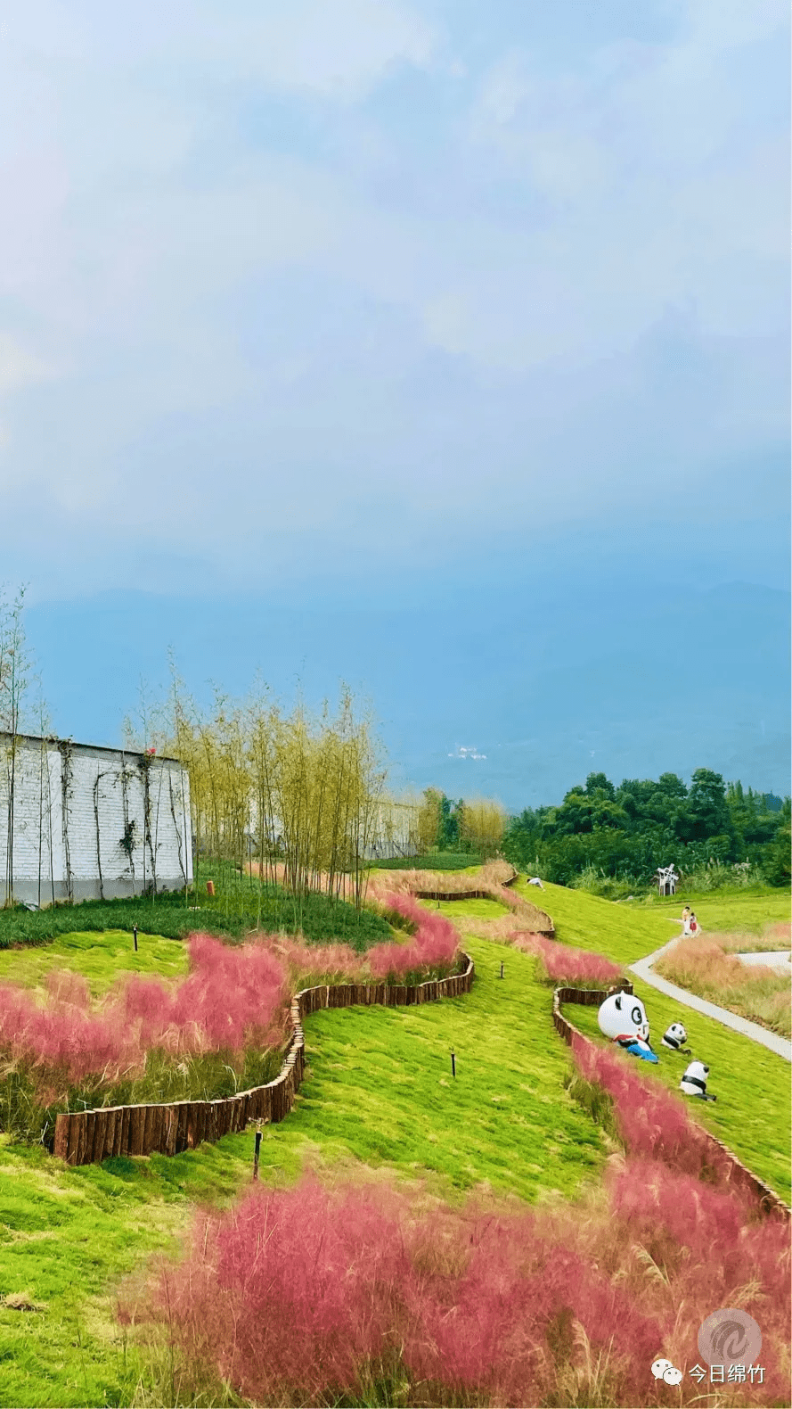 绵阳附近看花景点推荐图片