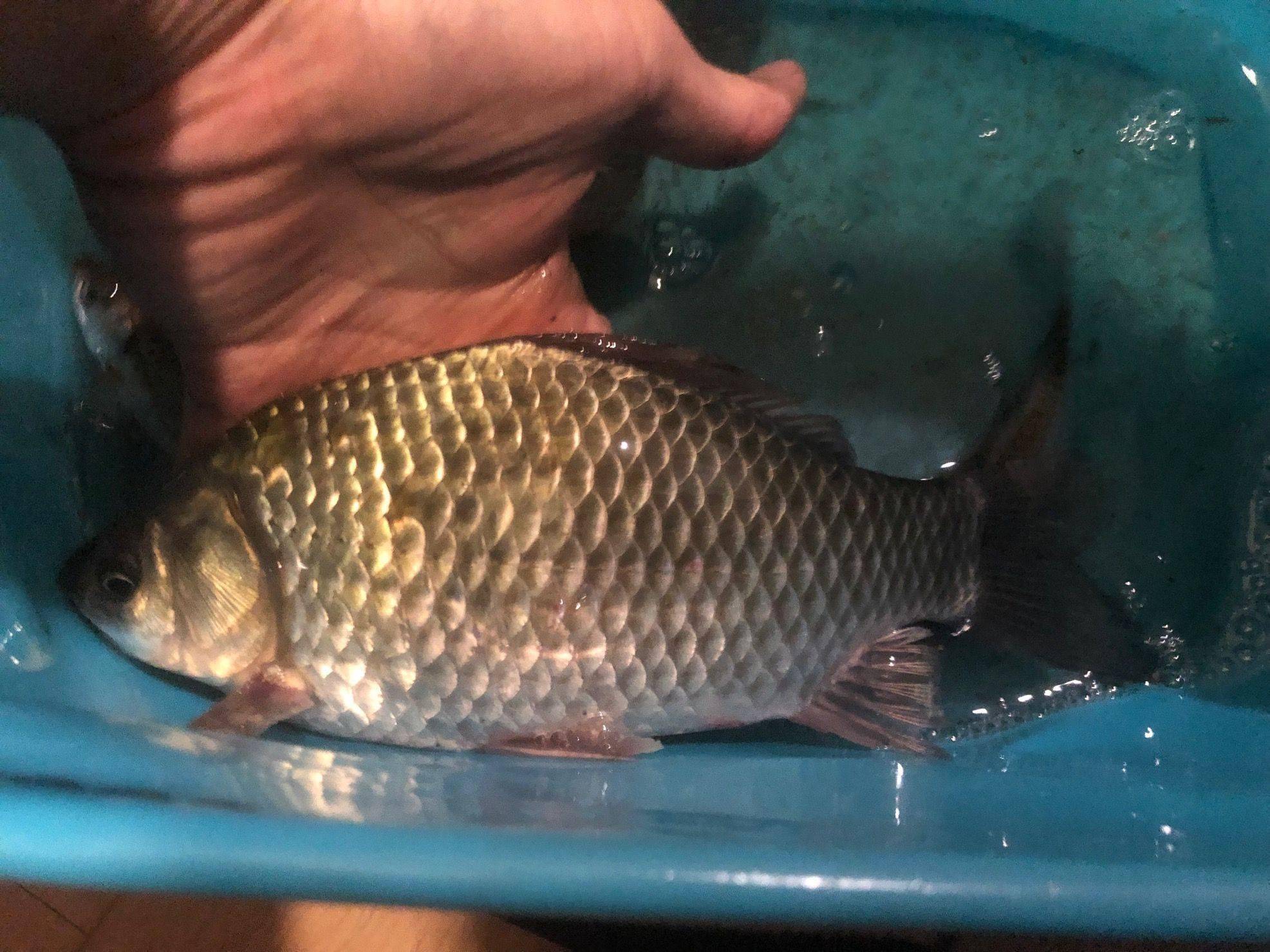 1024程序员节，程序员接过话筒：你瞧，膨胀到都敢接受采访了