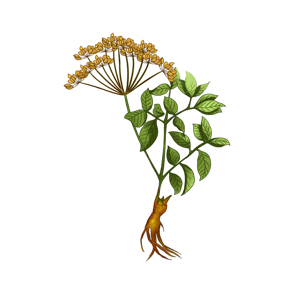 流传了上千年的中草药你可知道他们有多美