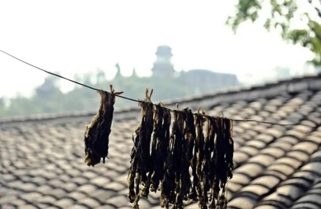 Chew_le|《八角亭谜雾》看伤了？你的所有失望，都能在背后这座重口味水乡得到弥补！