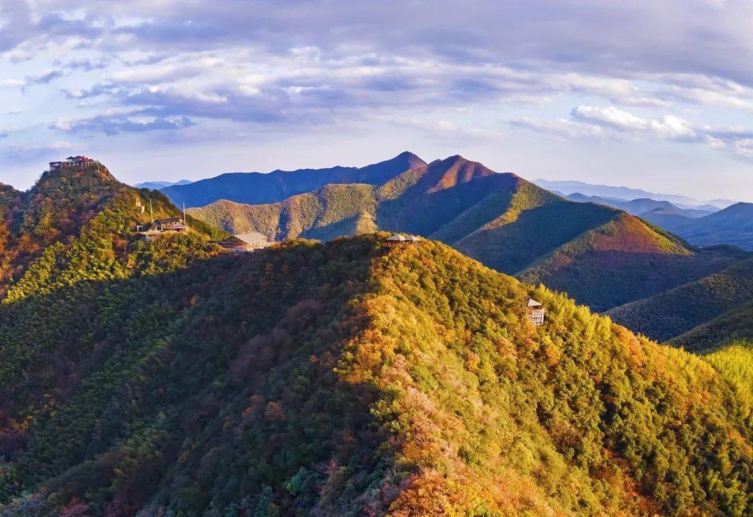 南山竹海秋季图片