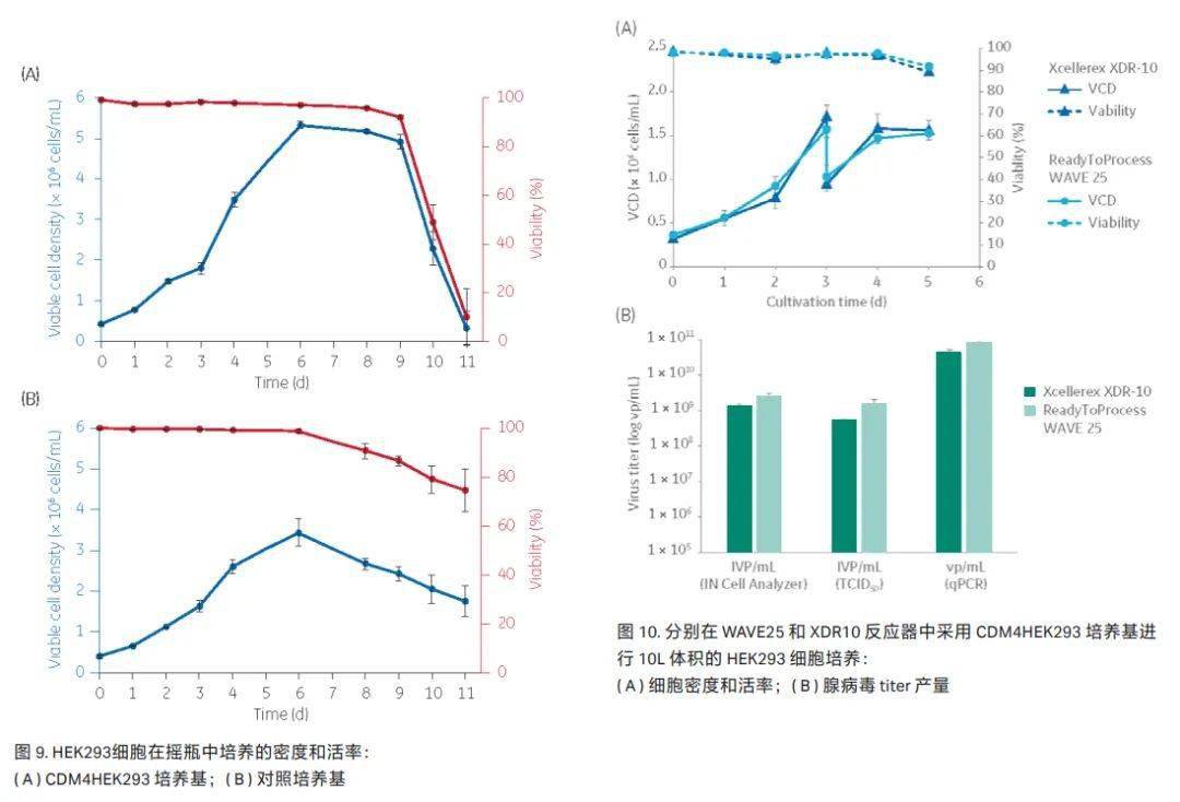 國內aav基因治療發展迅猛,如何快速有效地提高病毒載體的產能