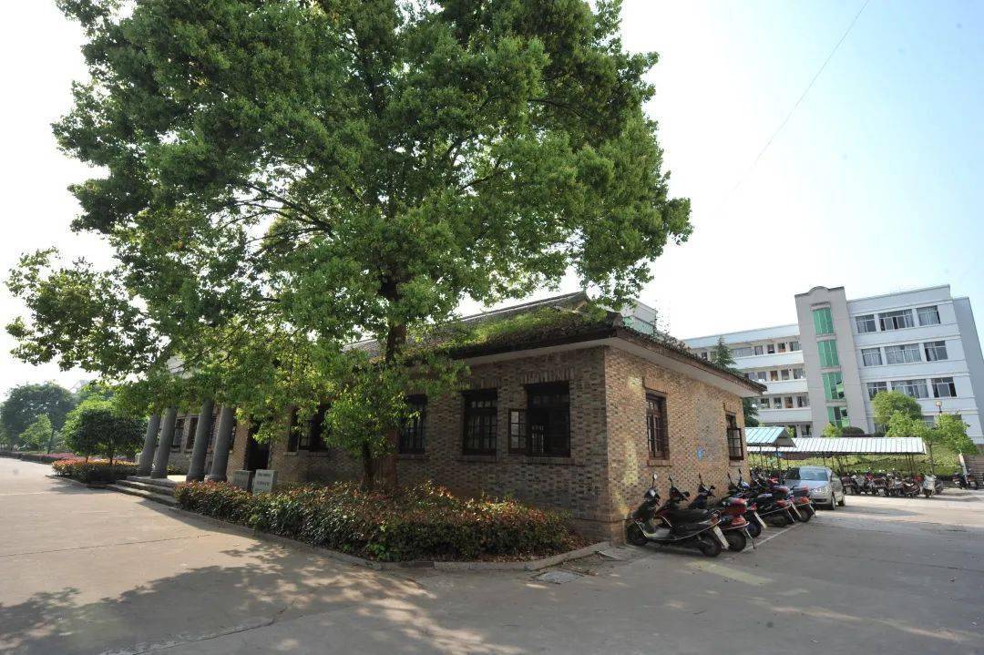 微周刊丽博观古处州遗存76黄绍竑公馆