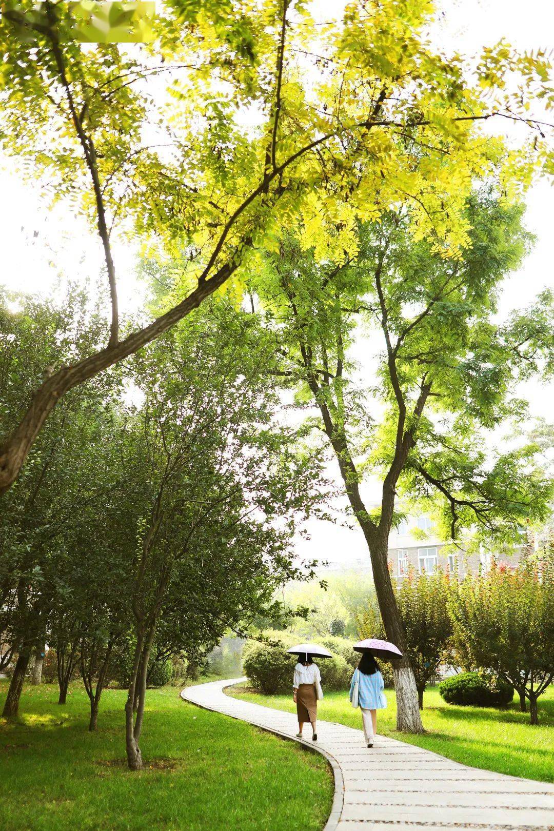 超级美南开初秋美图走一波