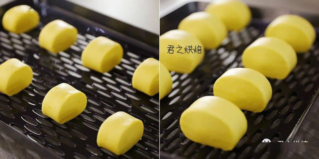 进行|君之，我好烦“发酵”呀！——几个发酵的问题一起来看！