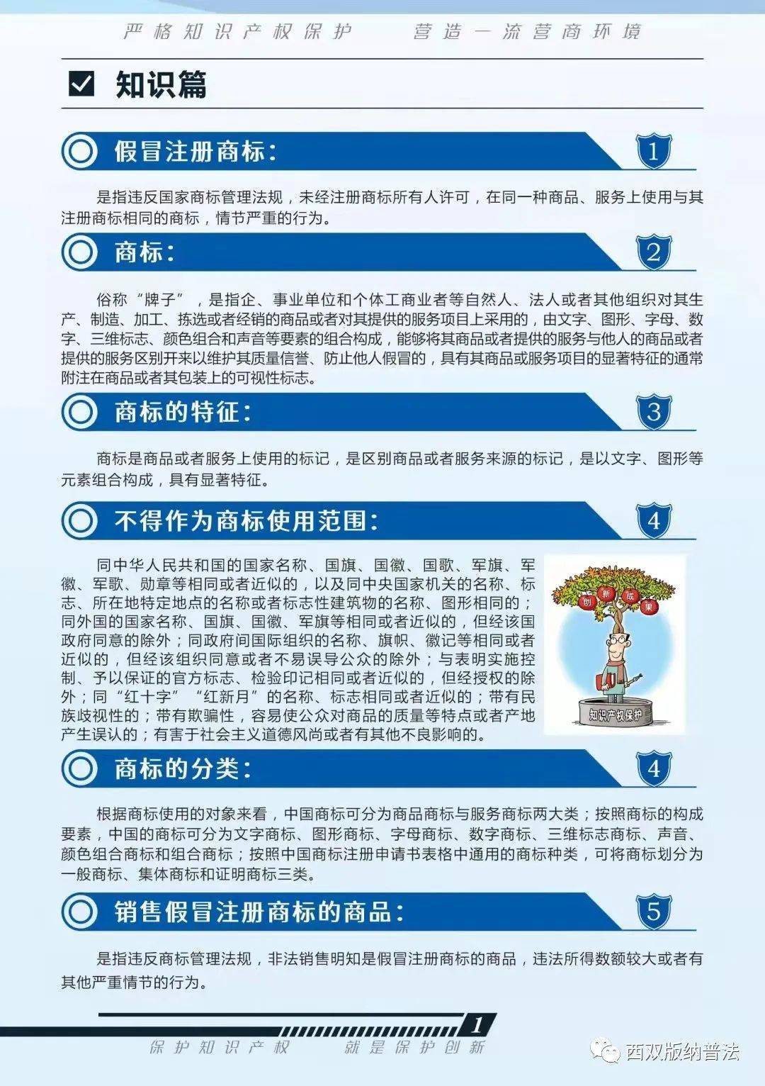 宣传丨严格知识产权保护营造一流营商环境打击侵犯知识产权和制售假冒