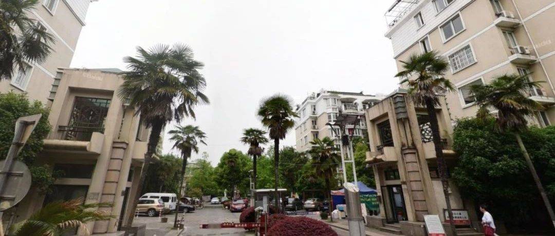 业委会不能无法无天_业主