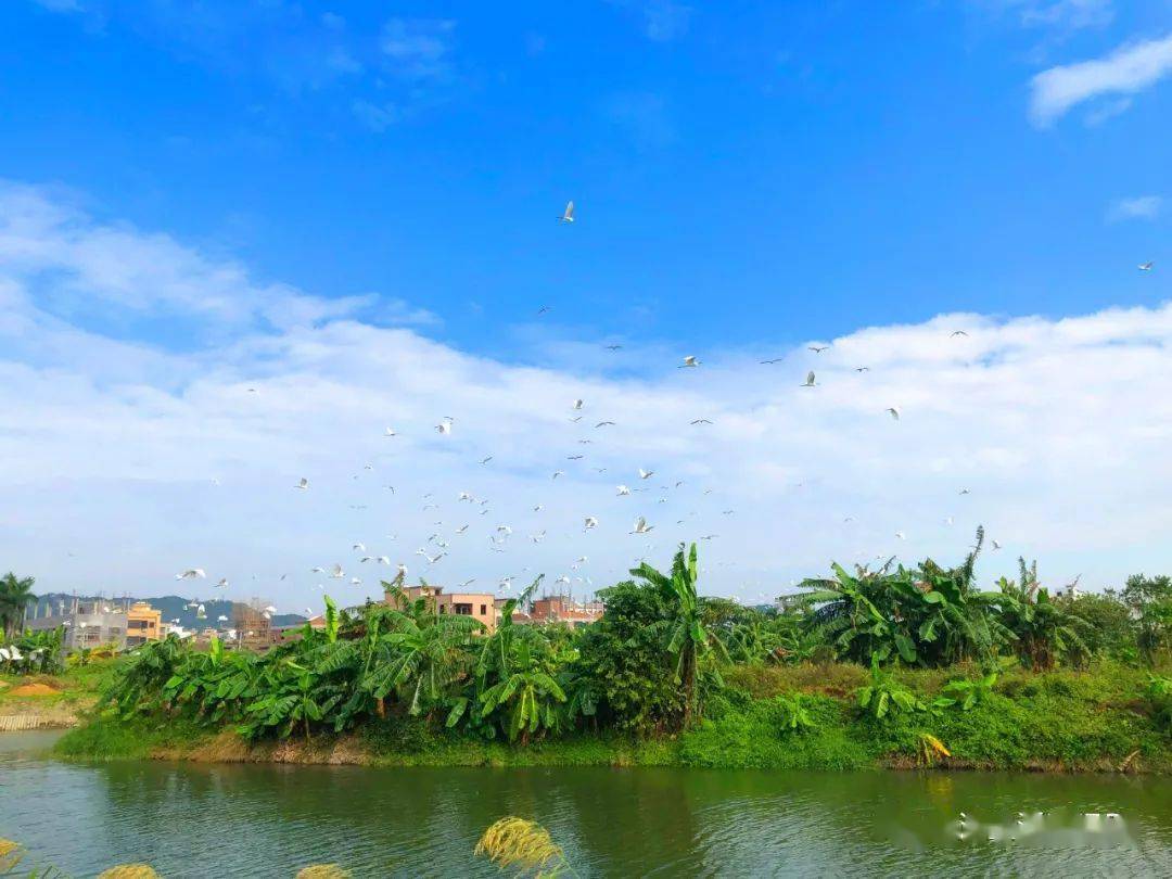 好美就在金浦这个地方