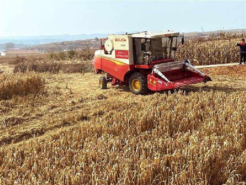 无人驾驶谷子收割机亮相寿阳