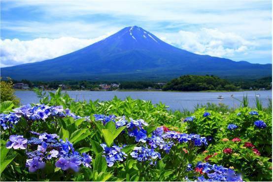 日本有一个地方，看富士山最漂亮！_手机搜狐网