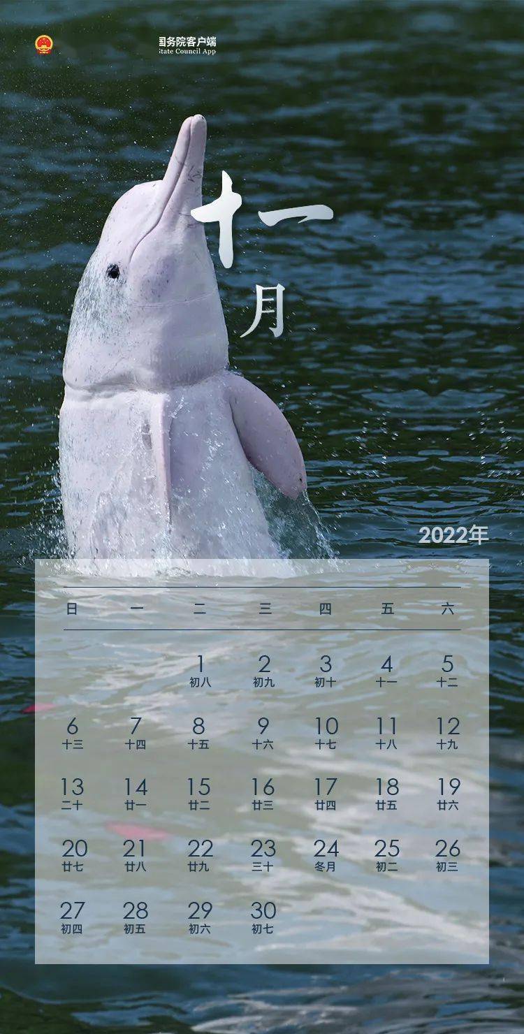 中国政府分享 ▍2022年日历来了！含放假安排~