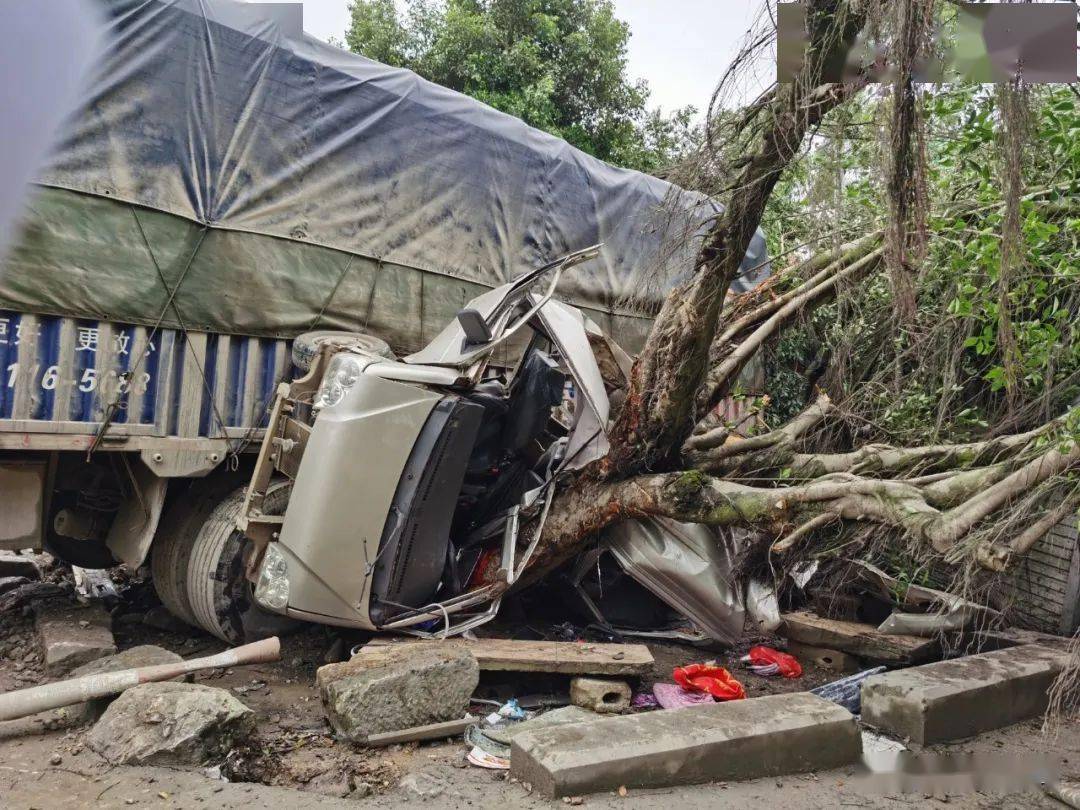 这起事故6死3伤都安籍一司机承担事故全部责任