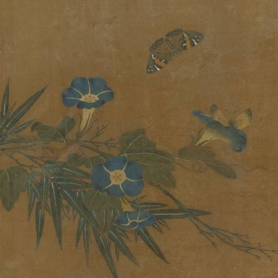 赏画｜王渊《写生花卉册》之牵牛花_花鸟