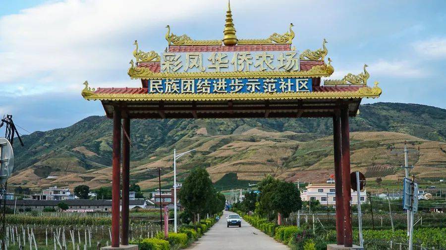 的农民正忙着丰收,这些场景勾勒出宾川县大营镇华侨社区的幸福轮廓