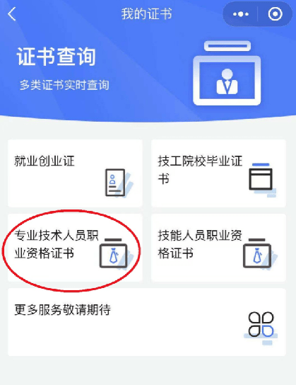 资格证书查询职业资格图片