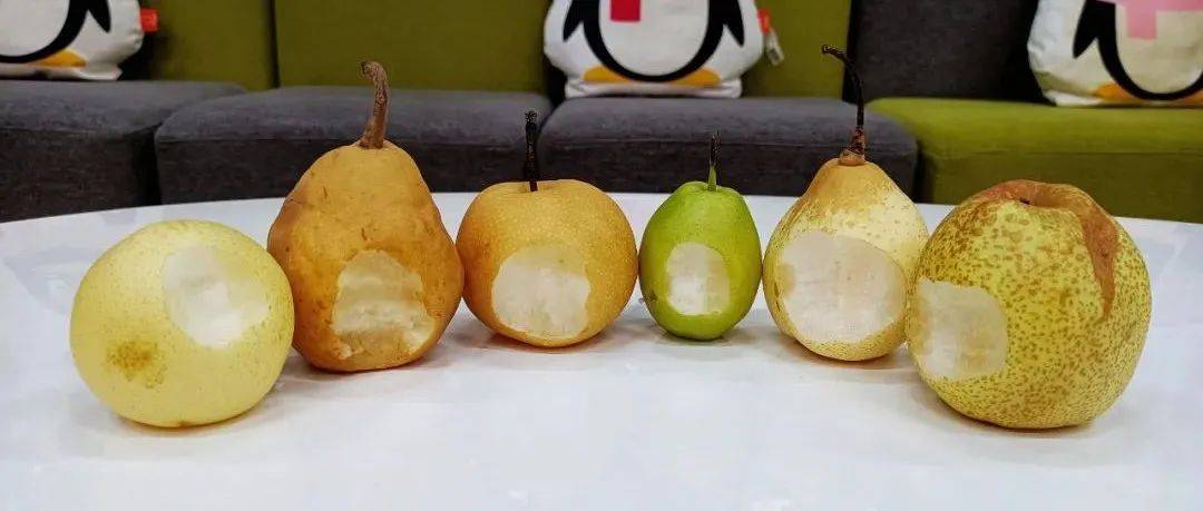 都说秋天吃梨好,为什么这款梨能凭实力出圈,吃完这7种梨之后我懂了!_丑梨