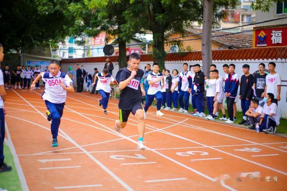 长乐朝阳中学校花图片