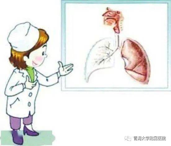 咯血的急救与预防措施（护士必学）_支气管