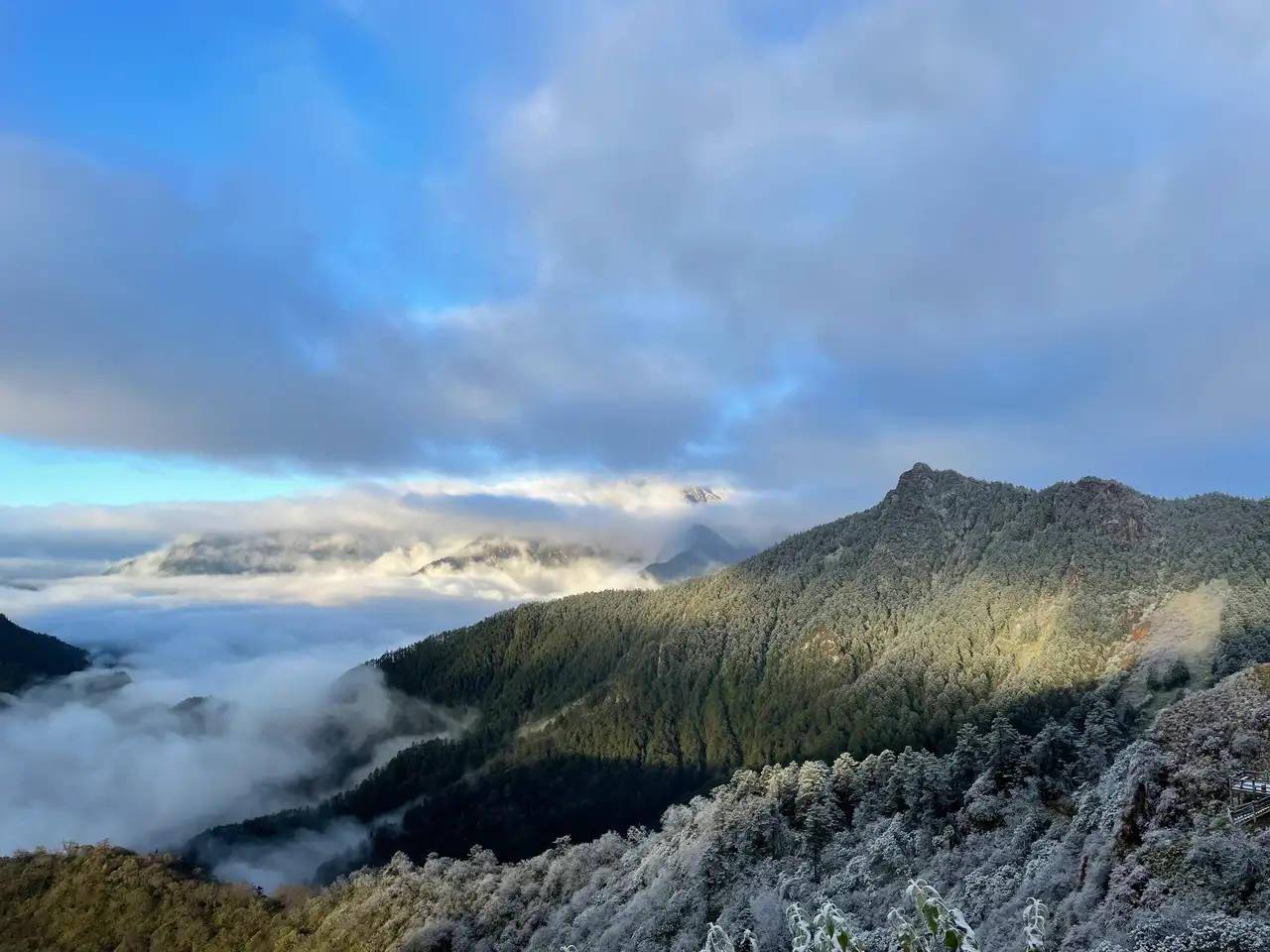 王荣|赏秋景雪景两不误！80%变黄变红，西岭雪山彩林进入最佳观赏期