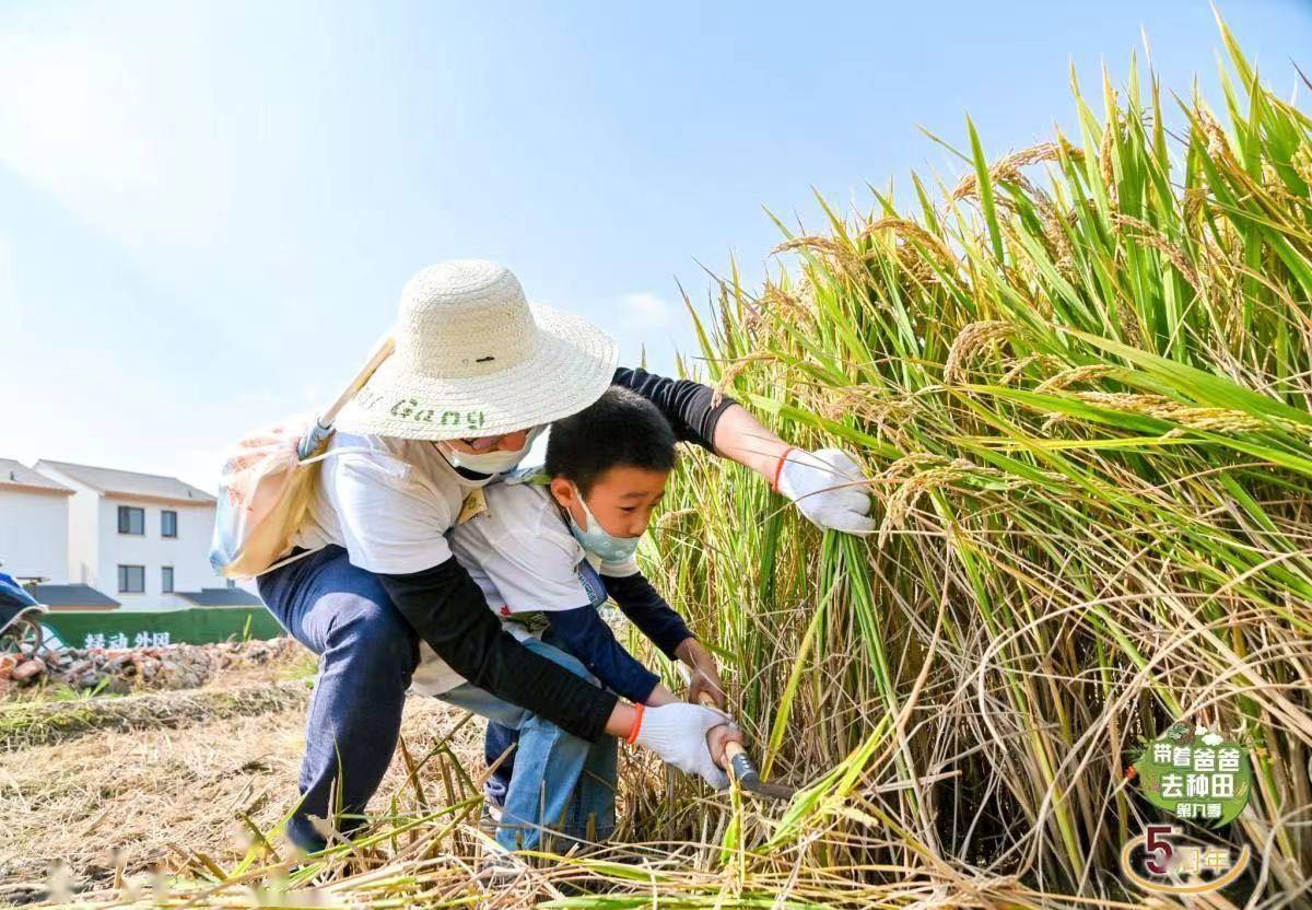 "带着爸爸去种田"迎来五周年专场,"双减"之下让孩子们在亲近自然中