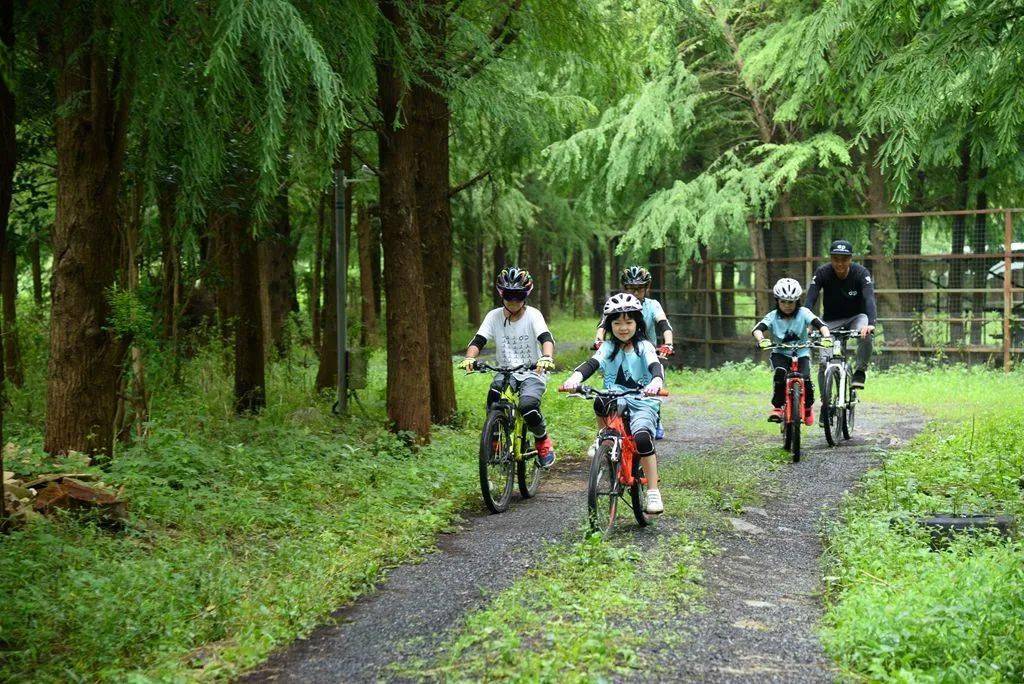 親子活動山地自行車一日訓練營來啦挑戰林道技巧感受戶外騎行的樂趣