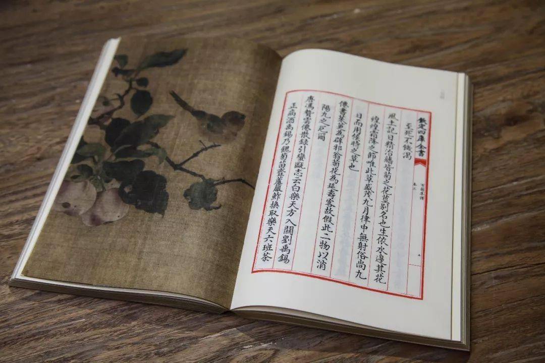 竹谱|“无肉令人瘦，无竹使人俗” | 荐书《竹谱》