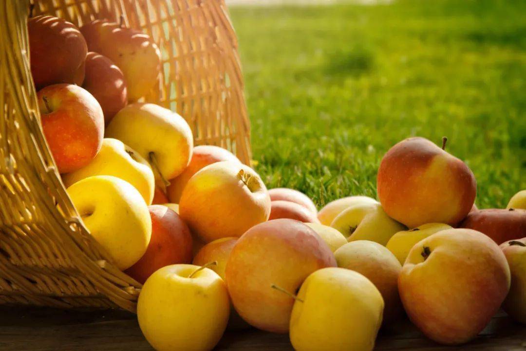 是一种|你常听到的水果界10大谣言，果子们心里苦但说不出！