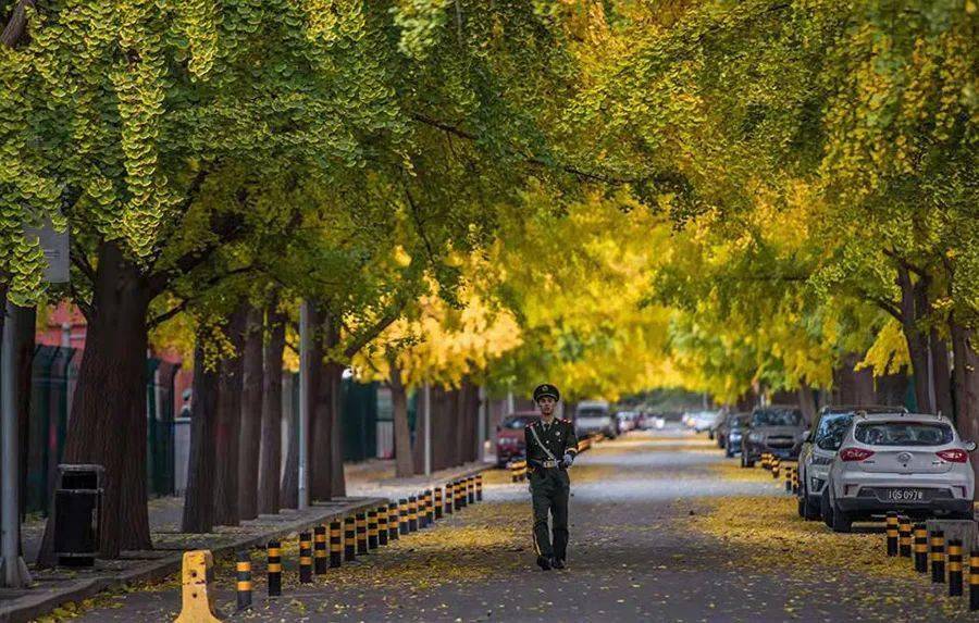 跑到第二使馆区——东直门外大街——三里屯路——天泽路一线实地考察