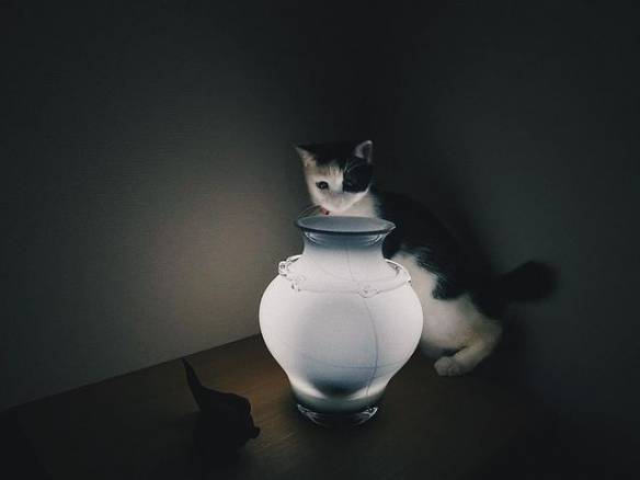      u201c                   _  