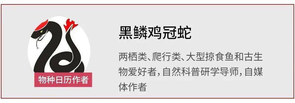 猎物|《沙丘》里的沙虫，可能就在你家海水鱼缸里？