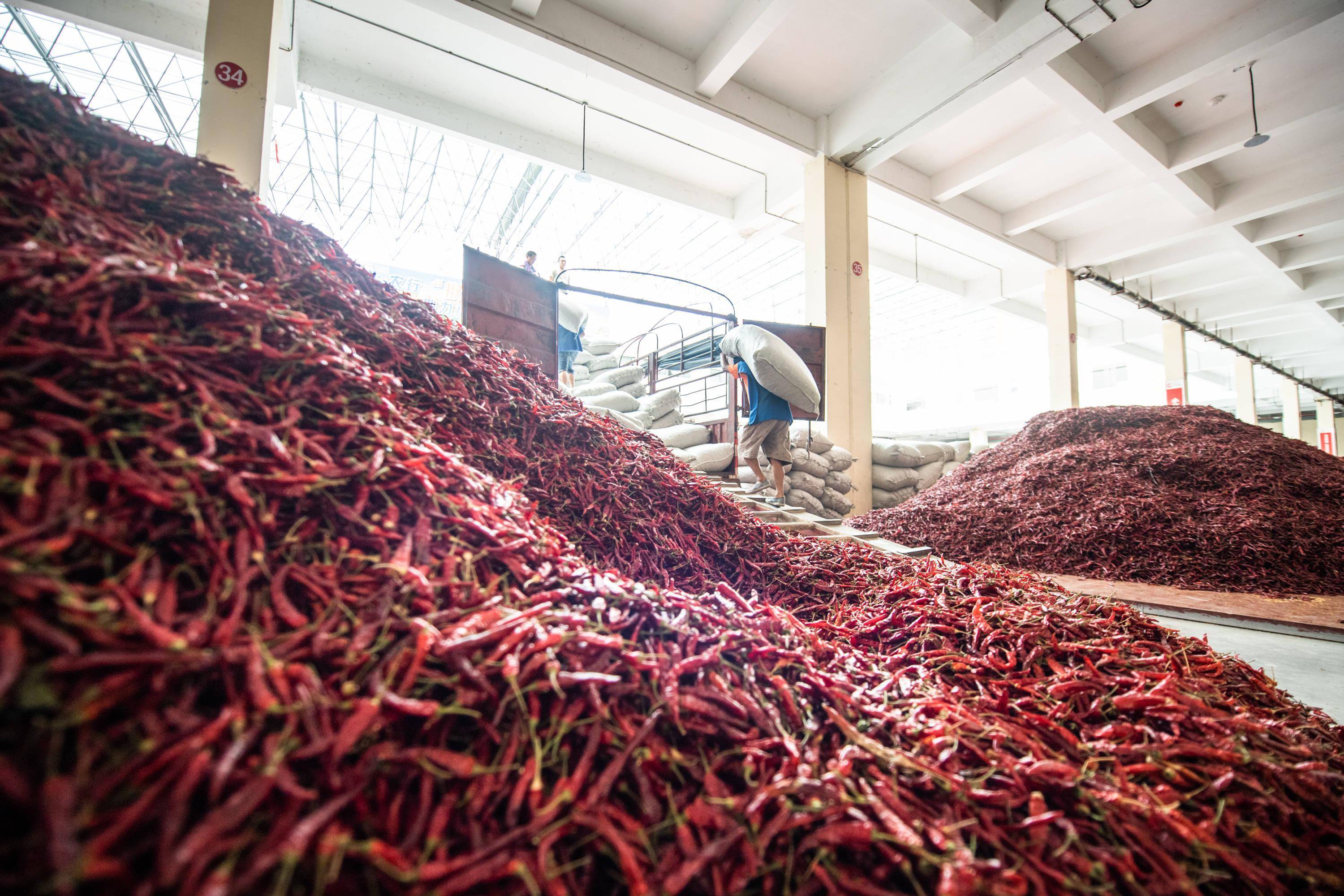 漂洋过海的辣子,在这里找到新路子——从辣椒指数看贵州乡村振兴_遵义