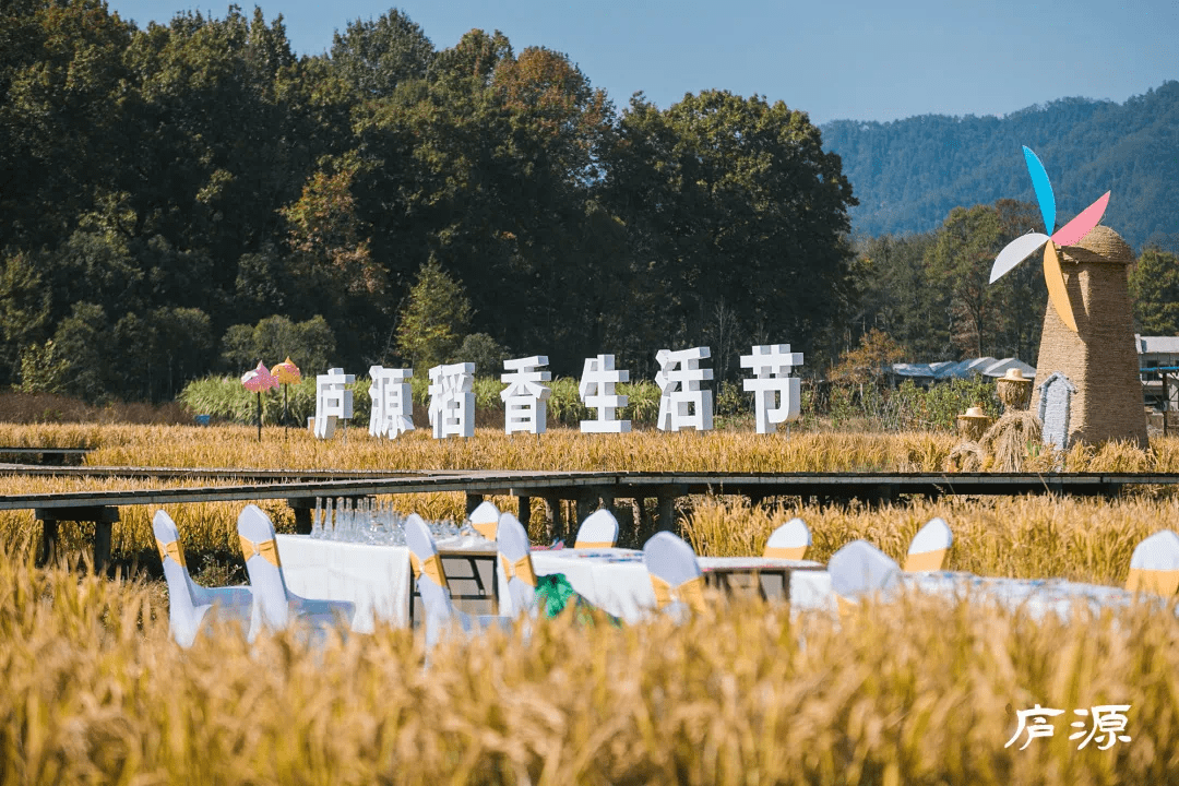 魔力|庐源稻香生活节|与稻禾相约,定格此刻美好