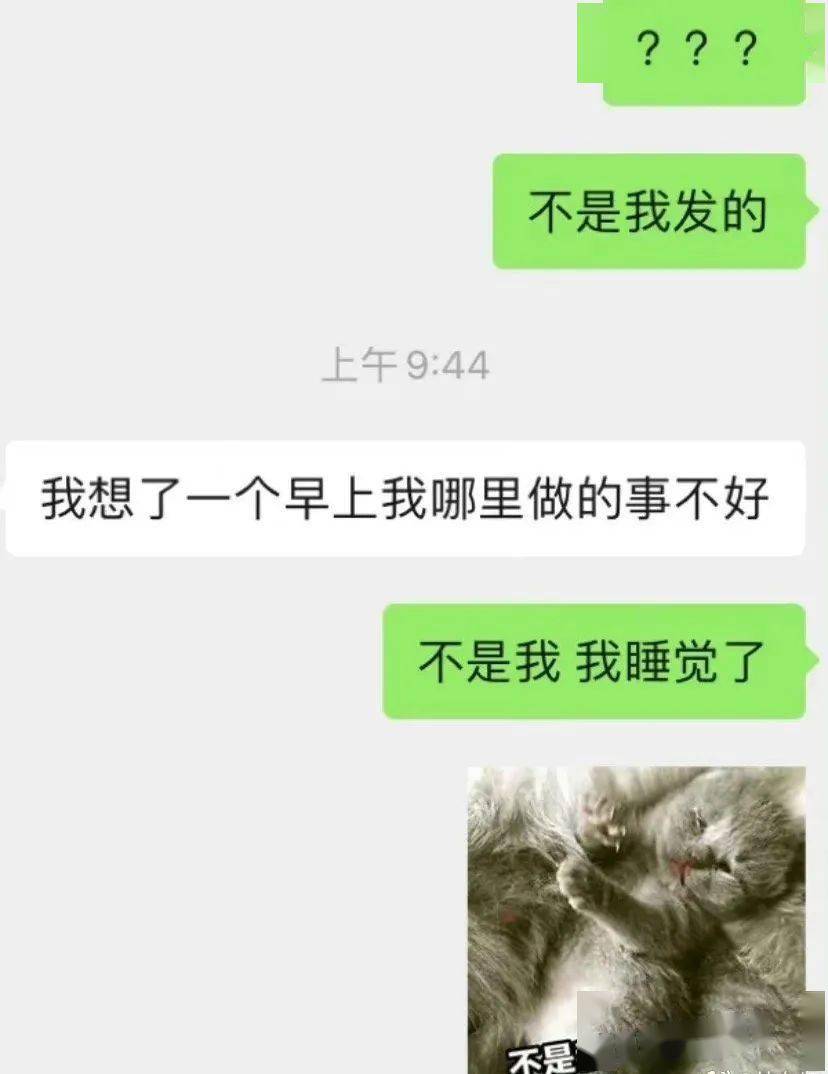 貓咪半夜給前任發了條消息？？不結婚很難收場kswl 搞笑整蠱 第4张