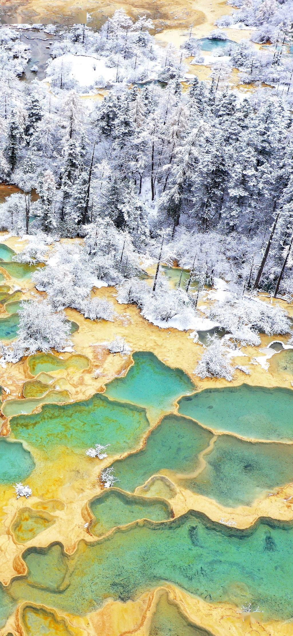 黄龙|美图暴击！｜雪中黄龙景区如仙境，看钙华池与白雪融合之美！