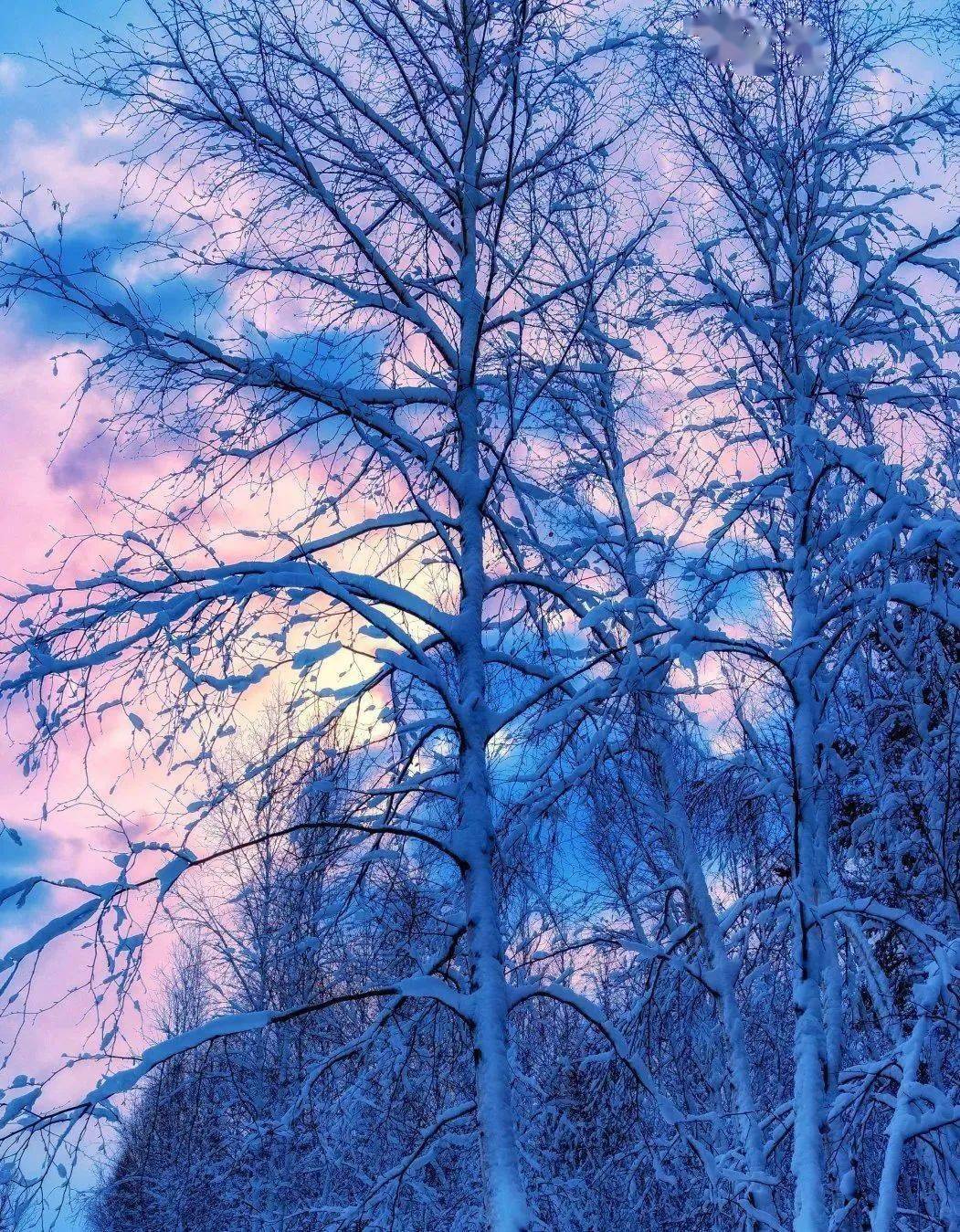 南来北往 | 十一月即将启动,来大兴安岭参加冰雪旅游,你准备好了吗?