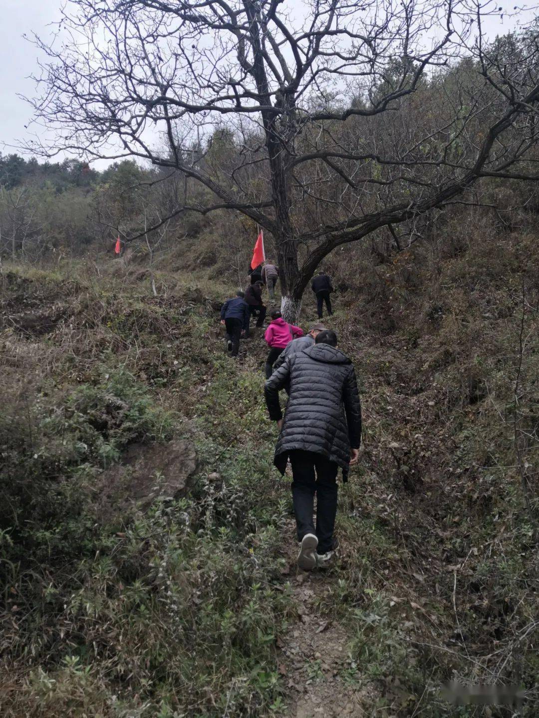 卢氏红25军军部旧址暨马湾红色教育基地采风作品选登王西川审稿