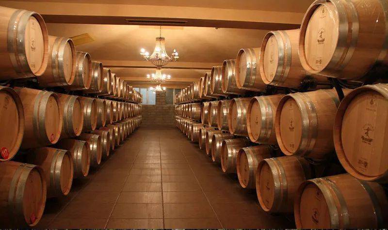 贺兰晴|线上云赏秋——疫情过后,来一场浪漫的酒庄之旅!