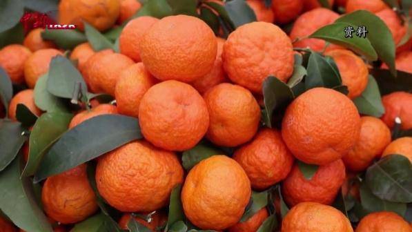 巩膜|橘子吃多了真的会变成“小黄人”?专家说