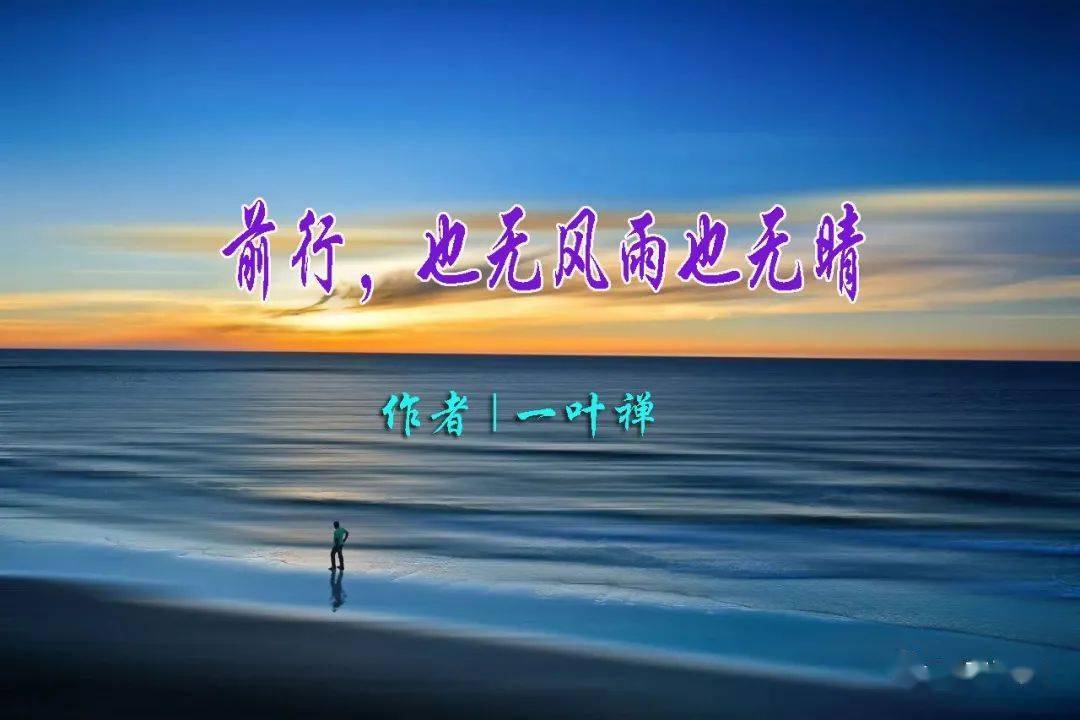 一叶禅前行也无风雨也无晴