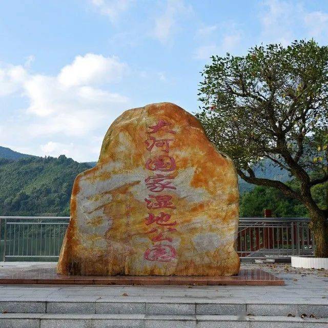 投票助力郁南大河公园入选广东最美森林旅游目的地