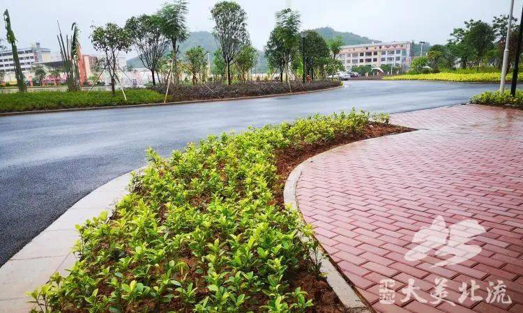 我为群众办实事北流市南湖小学扬南湖红船精神办人民满意教育