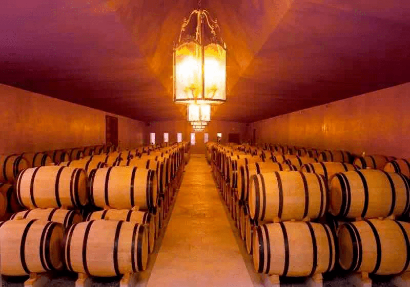 贺兰晴|线上云赏秋——疫情过后，来一场浪漫的酒庄之旅！