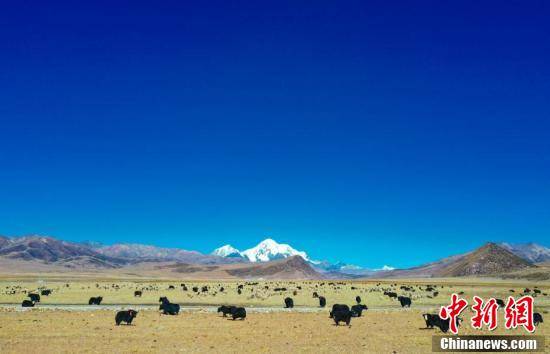西藏琼穆岗嘎雪山风光壮美