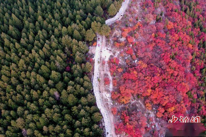 济南|山东济南“半边翠绿半边红”蝎子山成“网红”打卡地