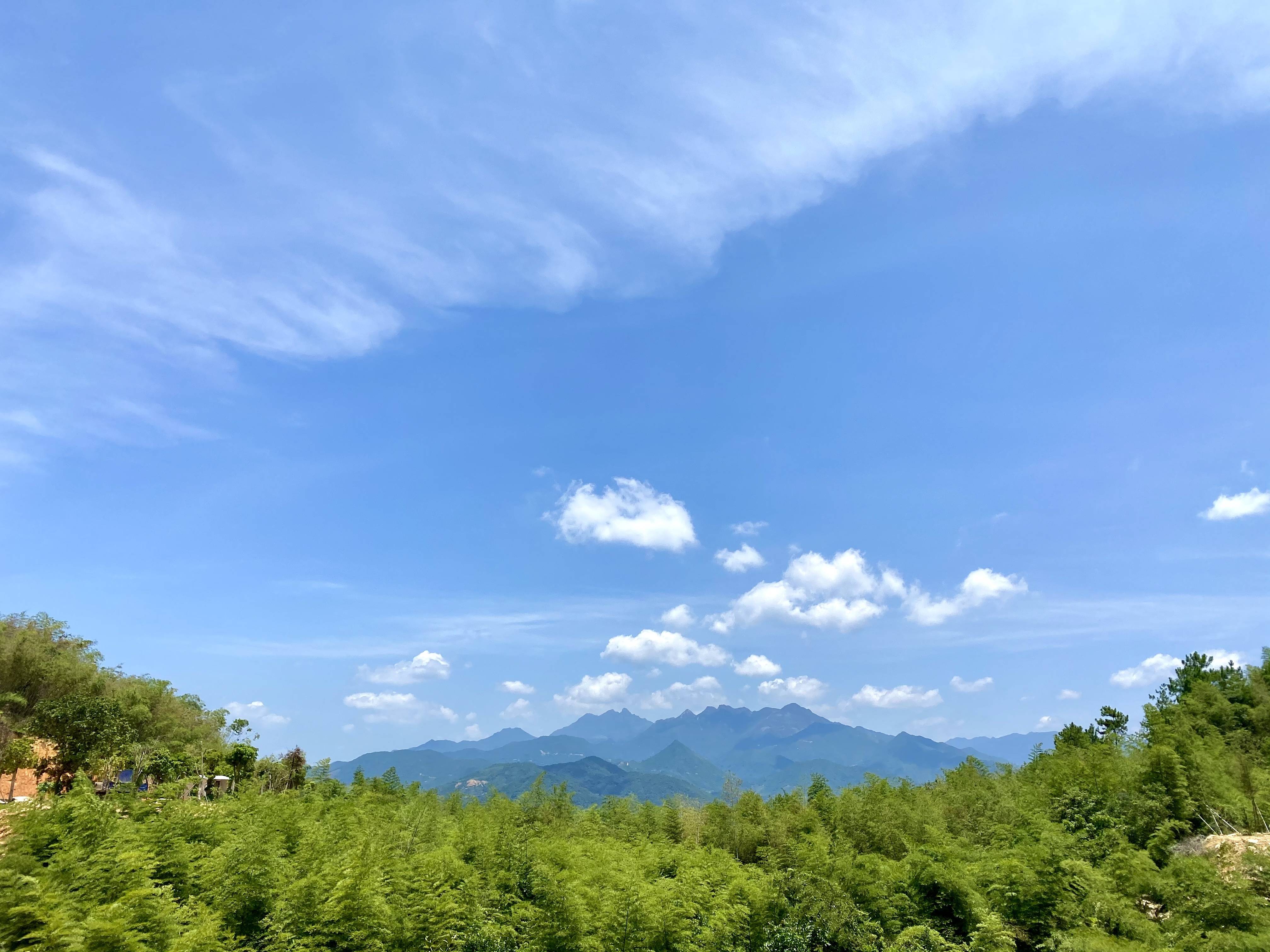 绣针下飞出凤凰潮绣传承人复原畲族潮州凤凰装