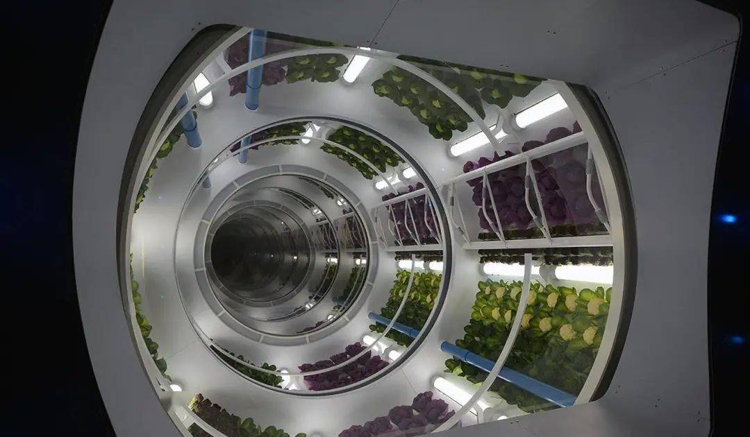国内首家太空餐厅来了,可吃宇航员同款菜式_Space