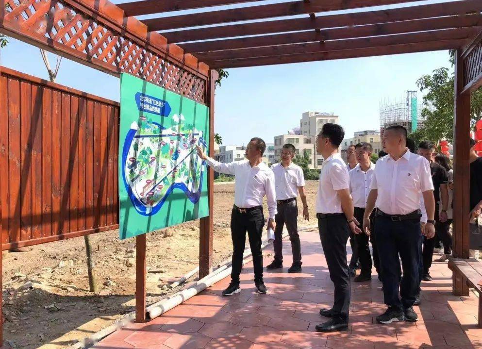 蔡向鸿一行先后调研了新海街道十一合村,龙华街道南社村,鸥汀街道